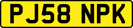 PJ58NPK