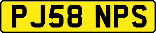 PJ58NPS