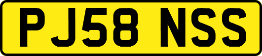 PJ58NSS