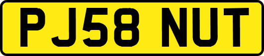 PJ58NUT