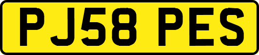 PJ58PES