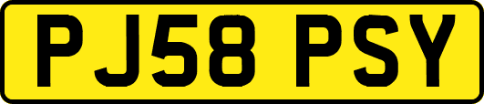 PJ58PSY
