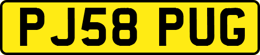 PJ58PUG