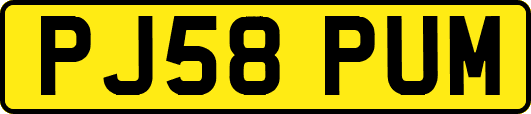 PJ58PUM