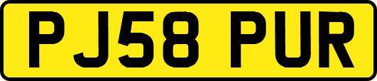 PJ58PUR