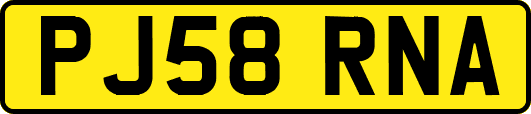 PJ58RNA