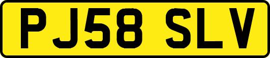 PJ58SLV