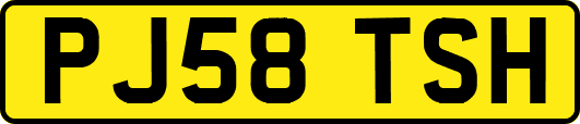 PJ58TSH