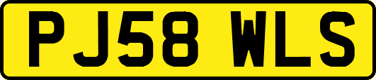 PJ58WLS