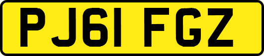 PJ61FGZ