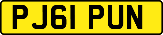 PJ61PUN