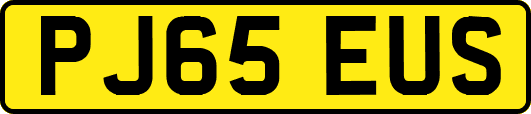 PJ65EUS