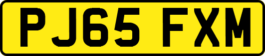 PJ65FXM