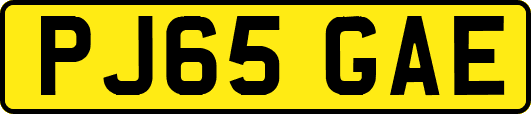PJ65GAE
