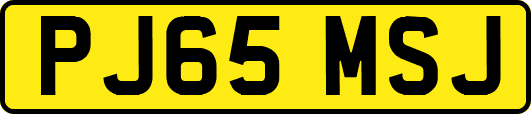 PJ65MSJ