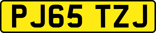 PJ65TZJ