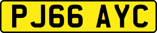 PJ66AYC