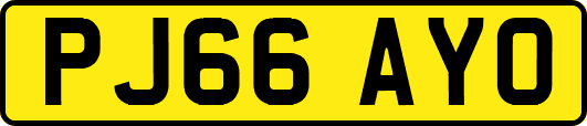 PJ66AYO