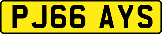 PJ66AYS