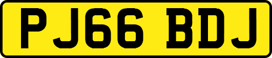 PJ66BDJ