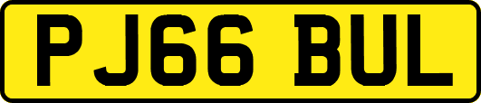 PJ66BUL