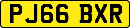 PJ66BXR