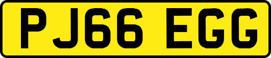 PJ66EGG