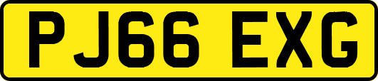 PJ66EXG