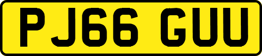 PJ66GUU