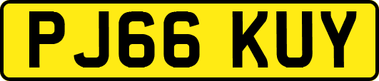 PJ66KUY
