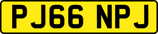 PJ66NPJ