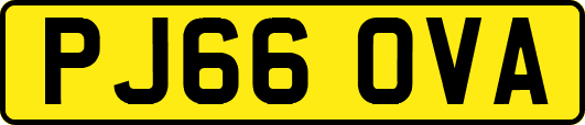 PJ66OVA