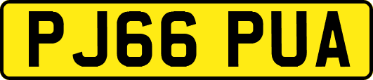 PJ66PUA