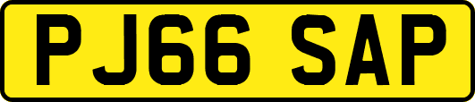 PJ66SAP