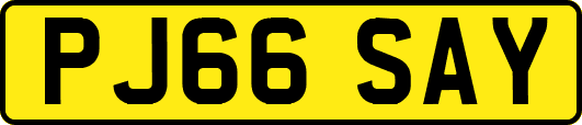 PJ66SAY