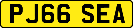 PJ66SEA