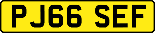 PJ66SEF