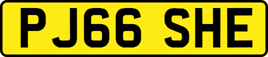 PJ66SHE