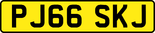 PJ66SKJ