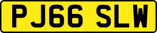 PJ66SLW