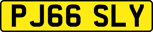 PJ66SLY