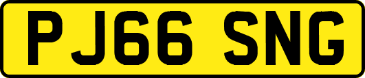 PJ66SNG