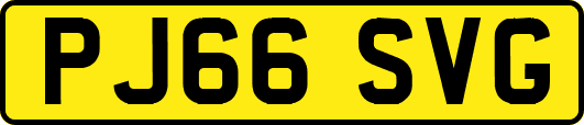 PJ66SVG