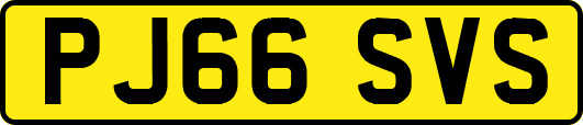 PJ66SVS