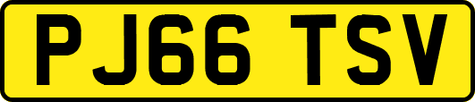 PJ66TSV