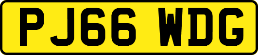 PJ66WDG