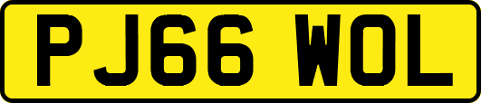 PJ66WOL