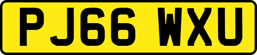 PJ66WXU