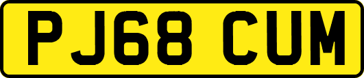PJ68CUM