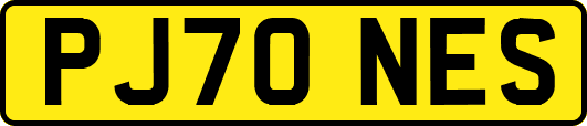 PJ70NES